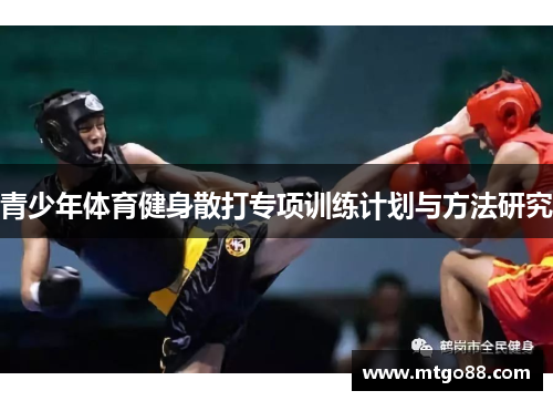 青少年体育健身散打专项训练计划与方法研究