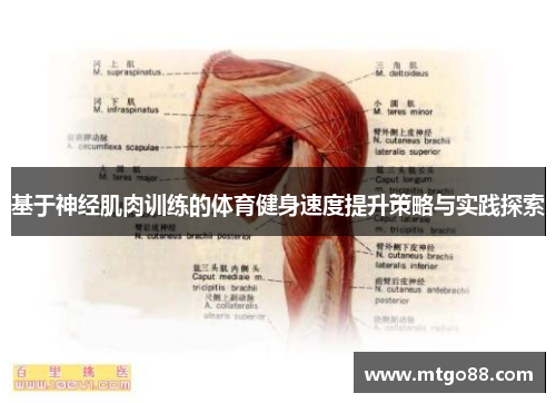 基于神经肌肉训练的体育健身速度提升策略与实践探索