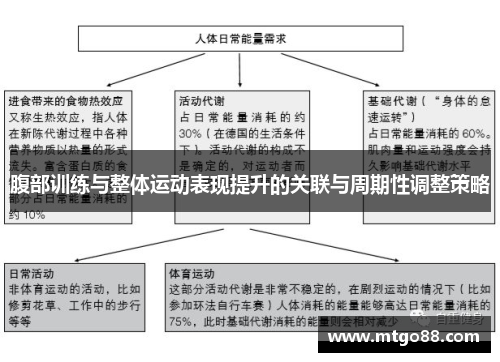 腹部训练与整体运动表现提升的关联与周期性调整策略