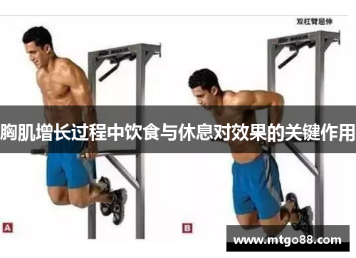 胸肌增长过程中饮食与休息对效果的关键作用